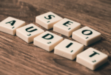 search engine marketing expert