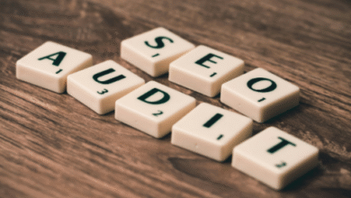 search engine marketing expert
