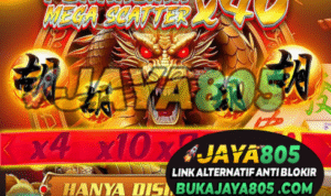 RAJA4D