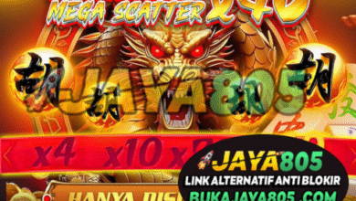 RAJA4D