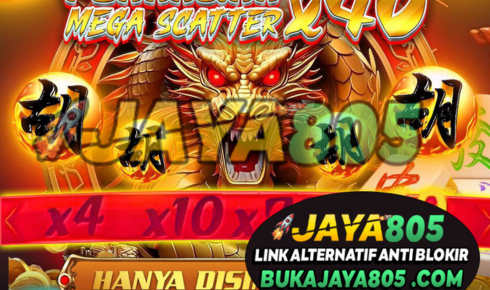 RAJA4D